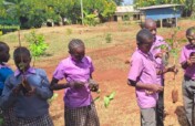 Greening Schools for Climate Action