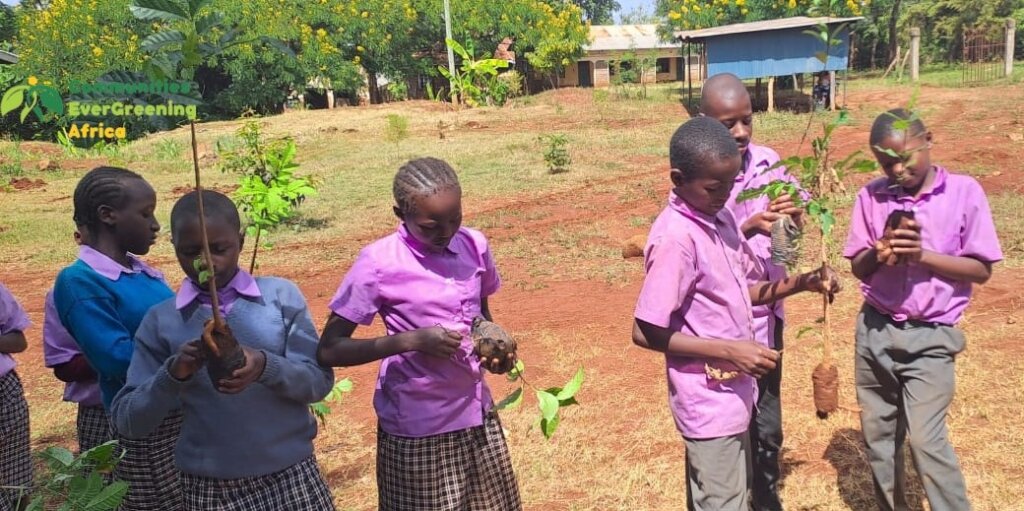 Greening Schools for Climate Action