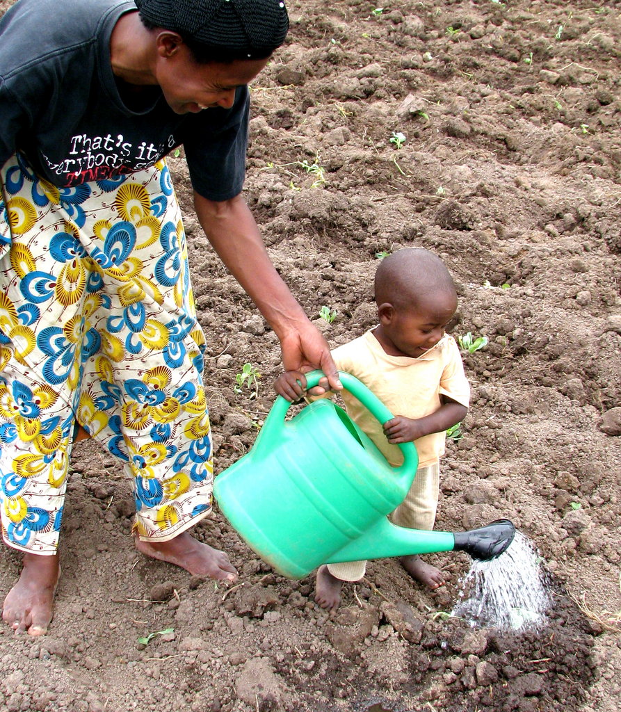 Nutritional Independence for 300 Rwandan Families