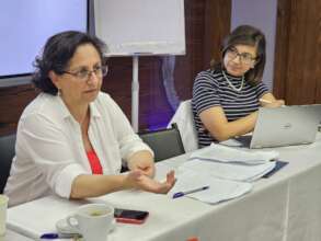 Director Dr. Areen Hawari at a Mada workshop