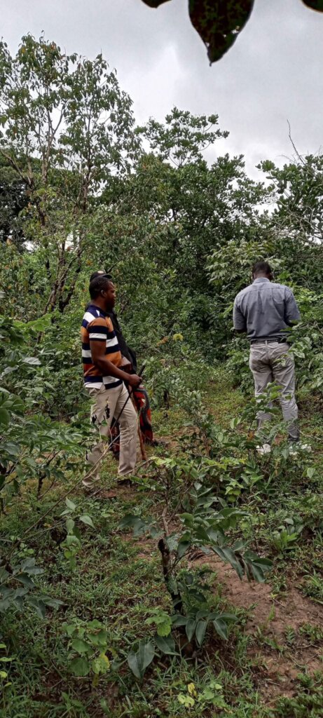 SUPPORT US TO GROW A FARM  FIGHT HUNGER IN OKANLE
