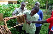 Beekeeping Project for the rural young women 