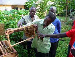 Beekeeping Project for the rural young women