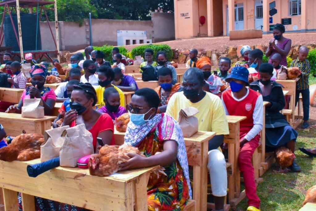 Briefing on chicken farming