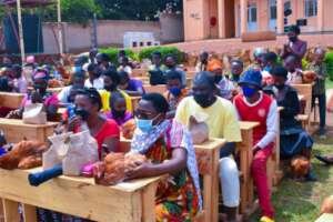 Briefing on chicken farming