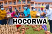 Provide 2 hens per home to fight malnutrition