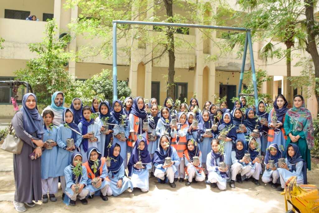 Donate 15 Plants for USD 10 in Pakistan