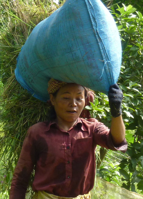 Empower HIV+ Women in Cambodia to Start a Business