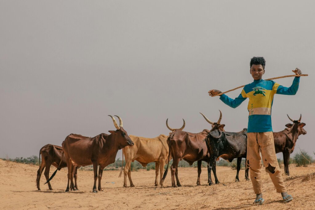 Stop HIV in Niger Republic: Educate 4,000 Nomads