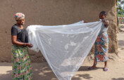 Provide 10000 Bed Nets to Reduce Malaria in Douala