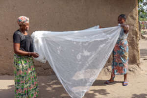 Provide 10000 Bed Nets to Reduce Malaria in Douala