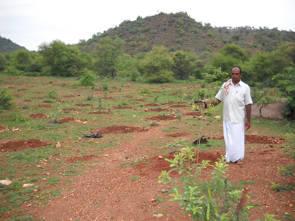 agroforestry awareness