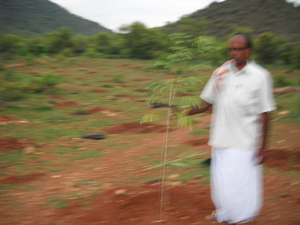 agroforestry awareness