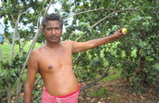 agroforestry awareness