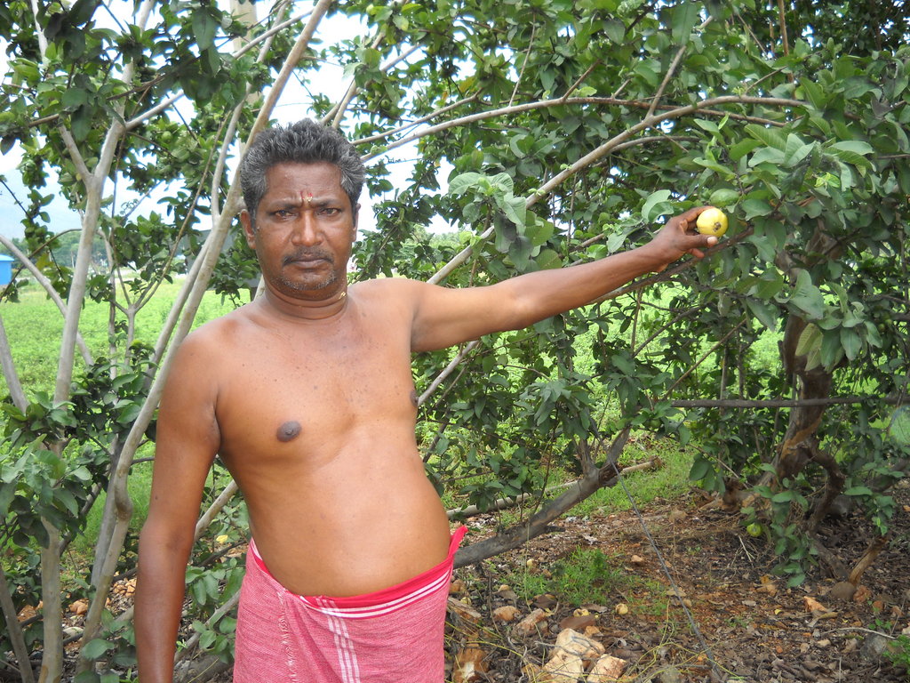 agroforestry awareness