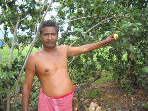 agroforestry awareness
