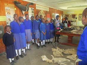 Club members learn about animal morphology