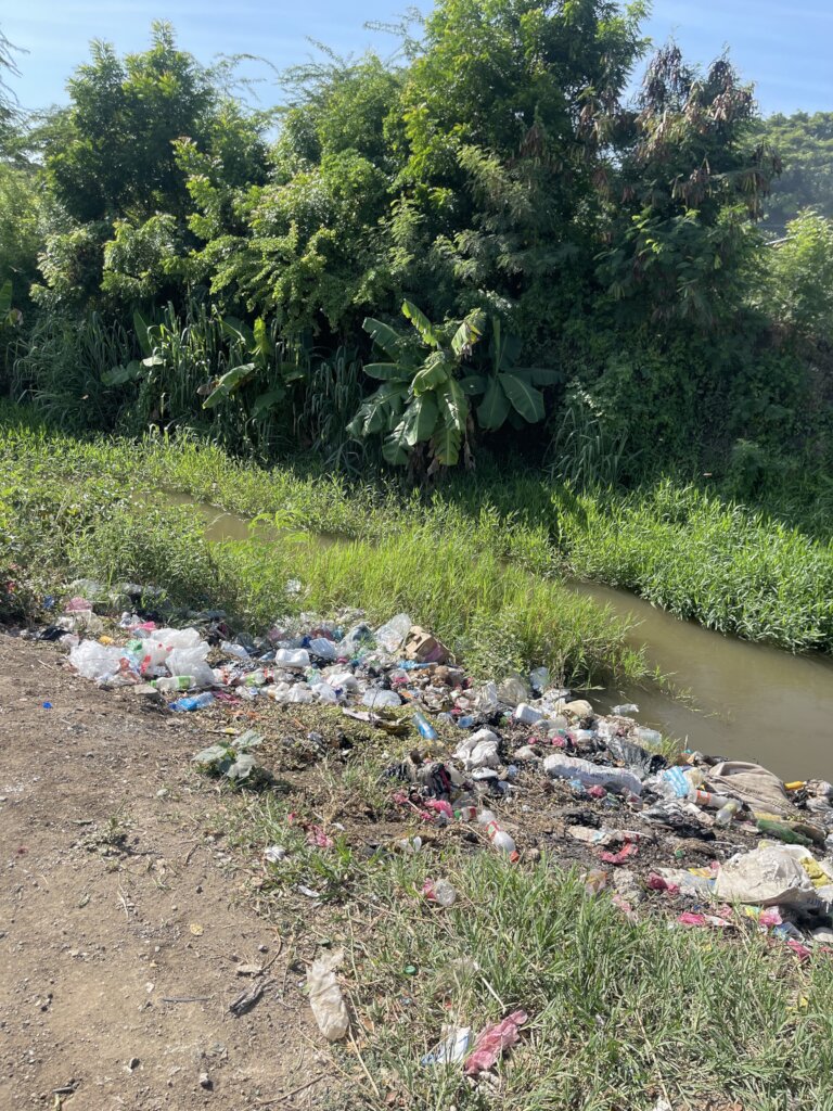 Un Batey Mas Verde