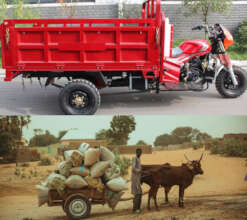 End Animal Cruelty in 7 Villages with 35 Tricycles