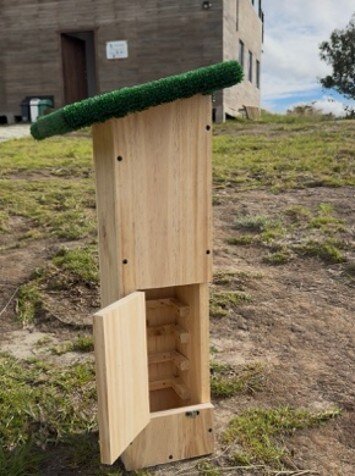 new nest boxes 2