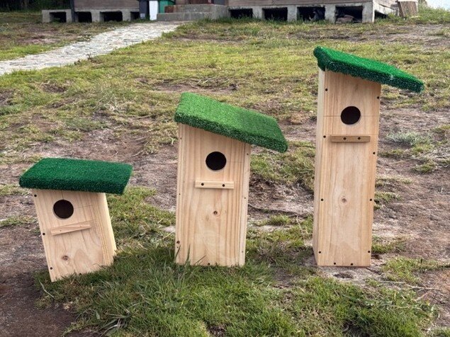 New nestboxes