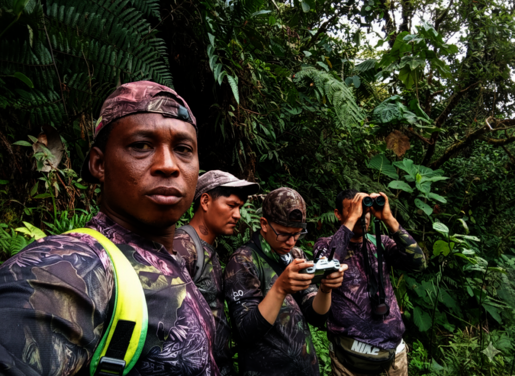 Our rangers in the field