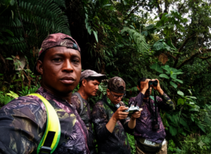 Our rangers in the field
