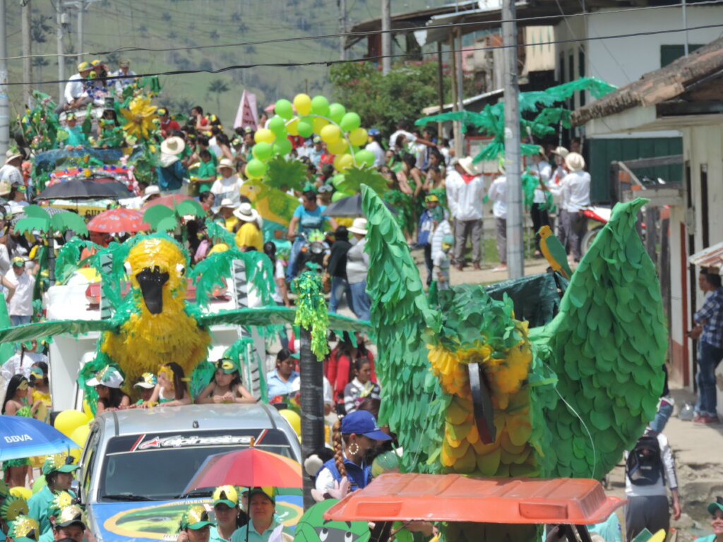 Future in Flight: Protecting Yellow-eared Parrots