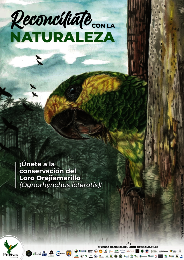 Future in Flight: Protecting Yellow-eared Parrots