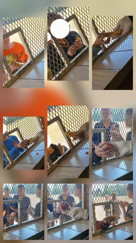 School Feeding