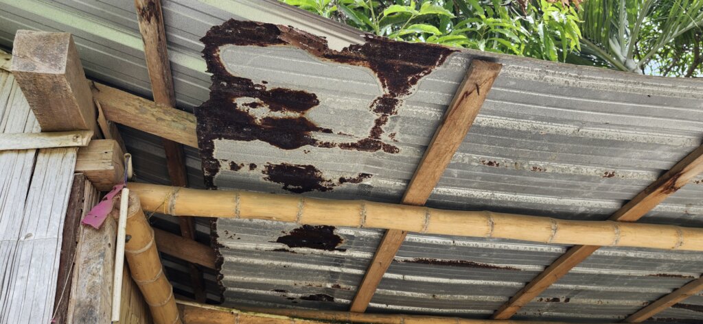 Urgent Improvements Needed for Our School's Dining