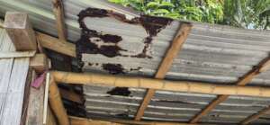 we need new roof