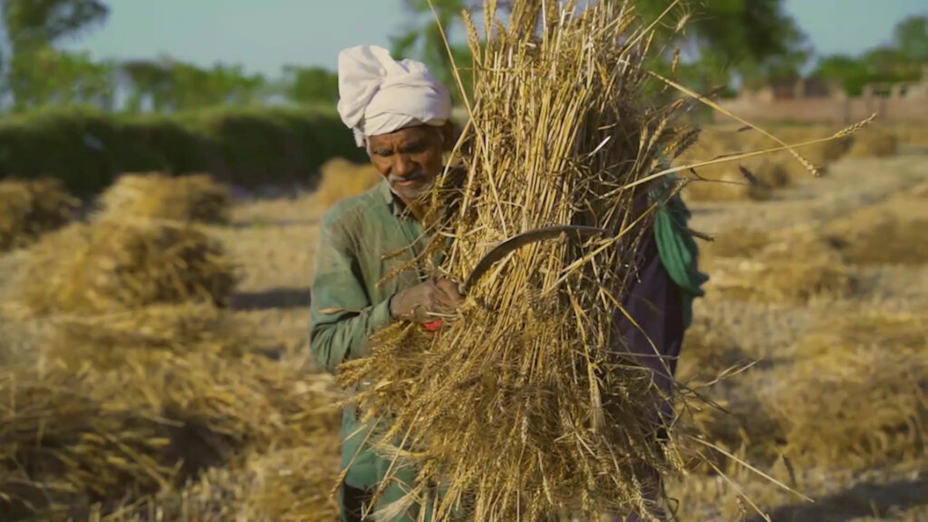 Help Farmers in Hardship: Give Hope, Not Interest