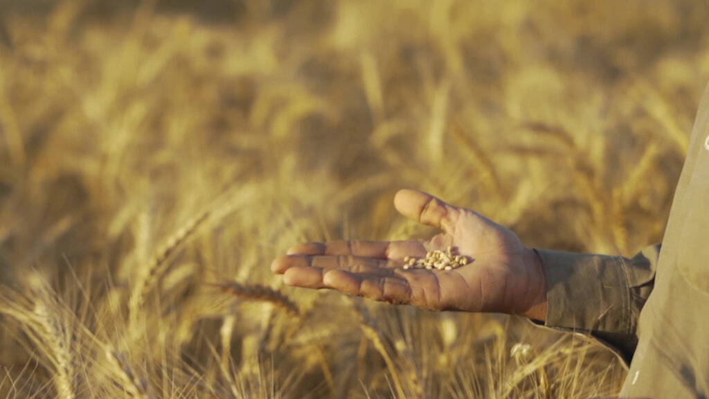 Help Farmers in Hardship: Give Hope, Not Interest