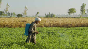 Help Farmers in Hardship: Give Hope, Not Interest