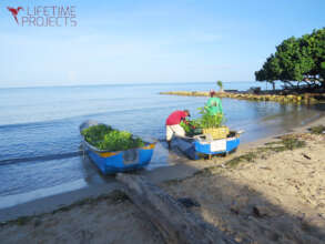 Save the Mangroves, Protect Life