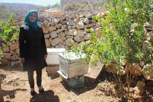 A beekeeping entrepreneur in Nablus-Asira