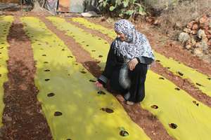 Launching a home gardening small enterprise