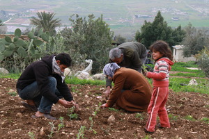 Family planting their thyme
