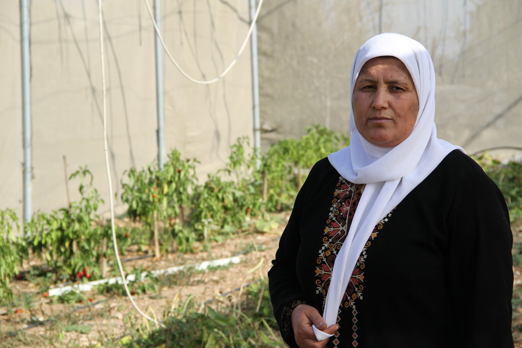Empower Women Entrepreneurs in Palestine & Jordan