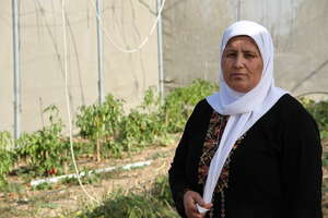 Nadira Shamlawi