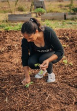 Planting
