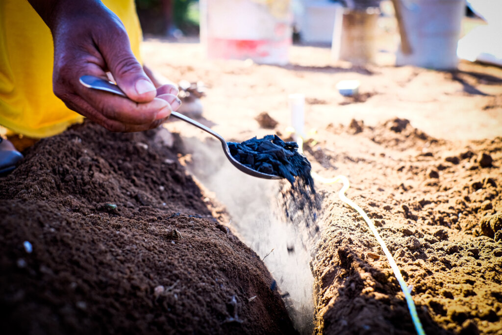 Preparing the soil