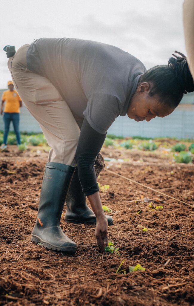 Love Gardens - A Sustainable Answer to Hunger