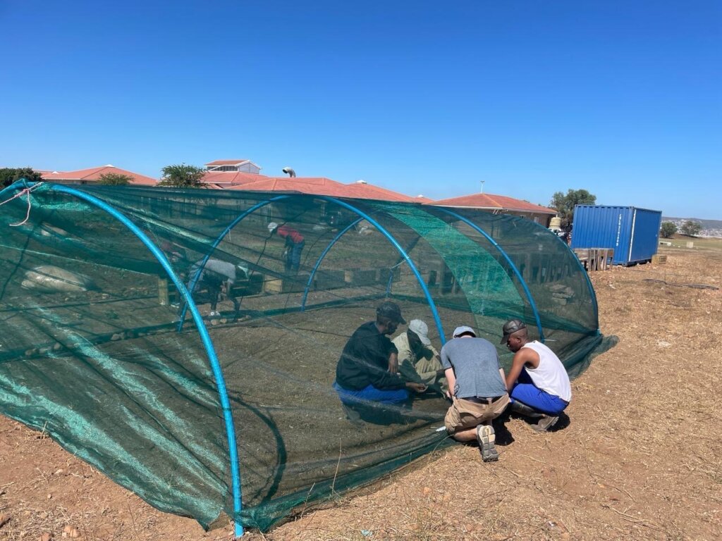 Love Gardens - A Sustainable Answer to Hunger