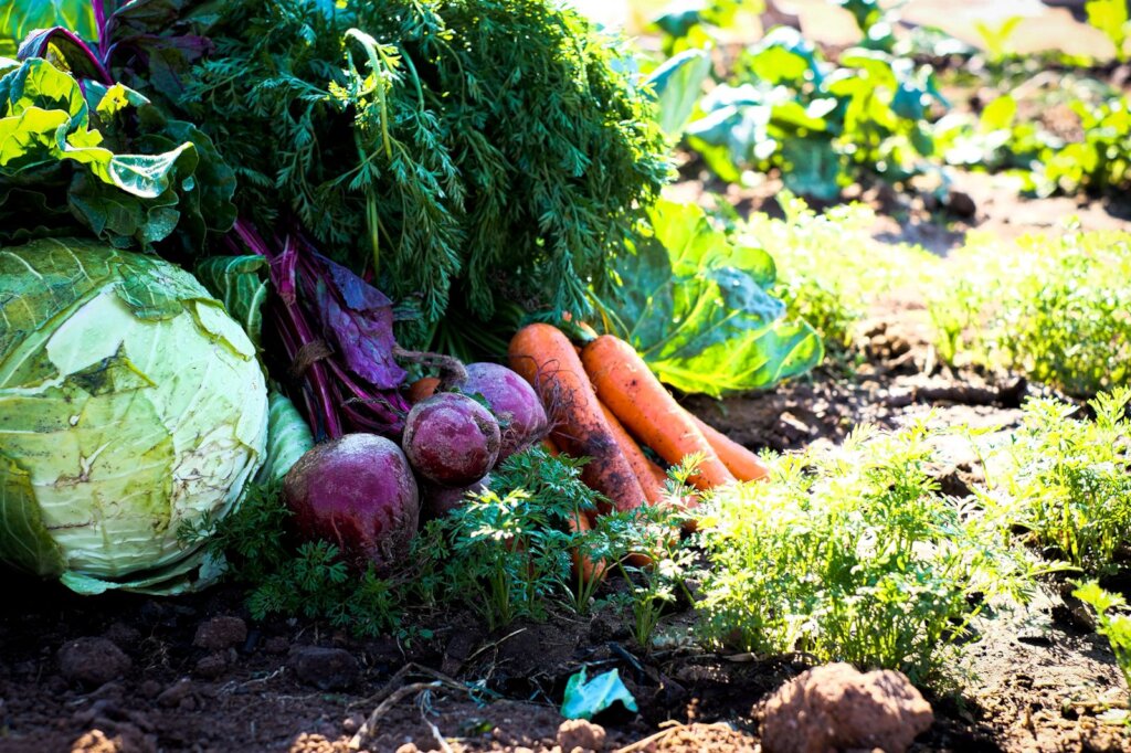 Love Gardens - A Sustainable Answer to Hunger