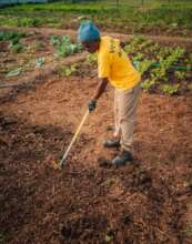 Preparing the land for planting