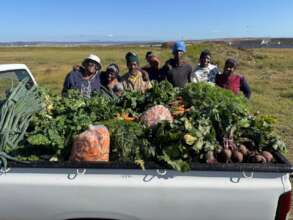 Full harvest ready to be taken to soup kitchens
