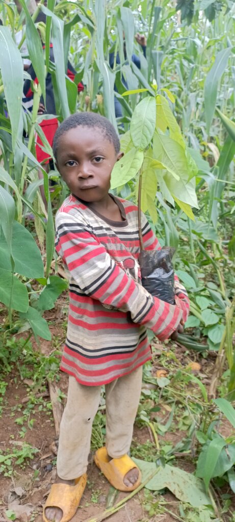 Kids For Trees: Sowing Seeds of Sustainability