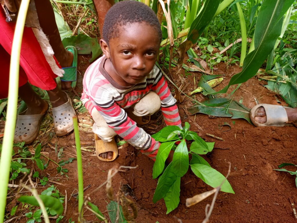 Kids For Trees: Sowing Seeds of Sustainability